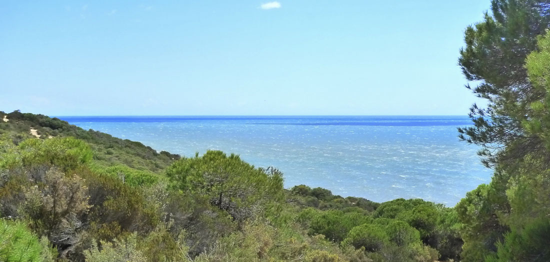 Saving Doñana