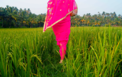 Supporting the Fight Against Sex Trafficking of Women and Young Girls