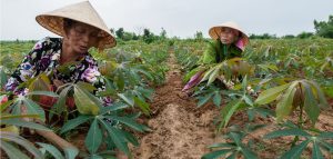 Sasakawa Peace Foundation – Asia women’s impact fund strategy