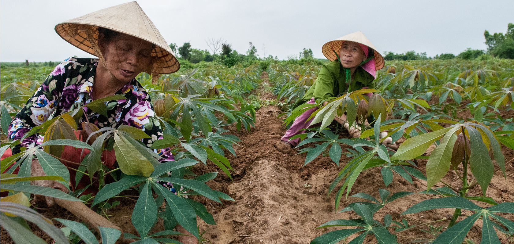 Sasakawa Peace Foundation – Asia women’s impact fund strategy