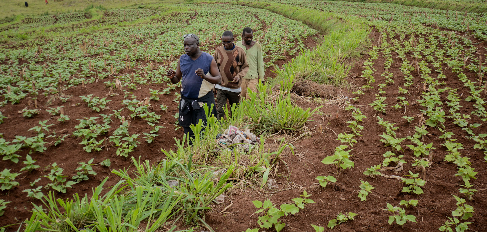 Supporting the formation of the fund for agricultural finance in Nigeria
