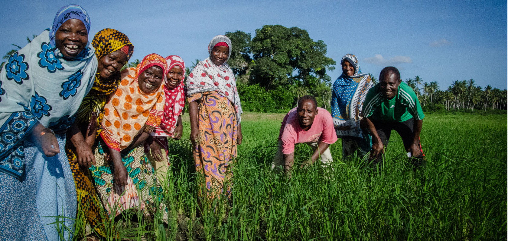 How can investors create transformational innovation?