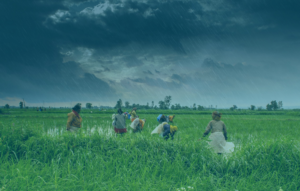 The Power of the Collective: Dalberg & the Launch of India’s Climate Collaborative