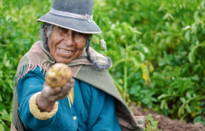 Es hora de profesionalizar el impacto en la inversión de impacto.  Así se hace: