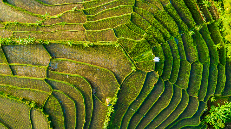 Nature-based Solutions: Protecting Nature to Protect People