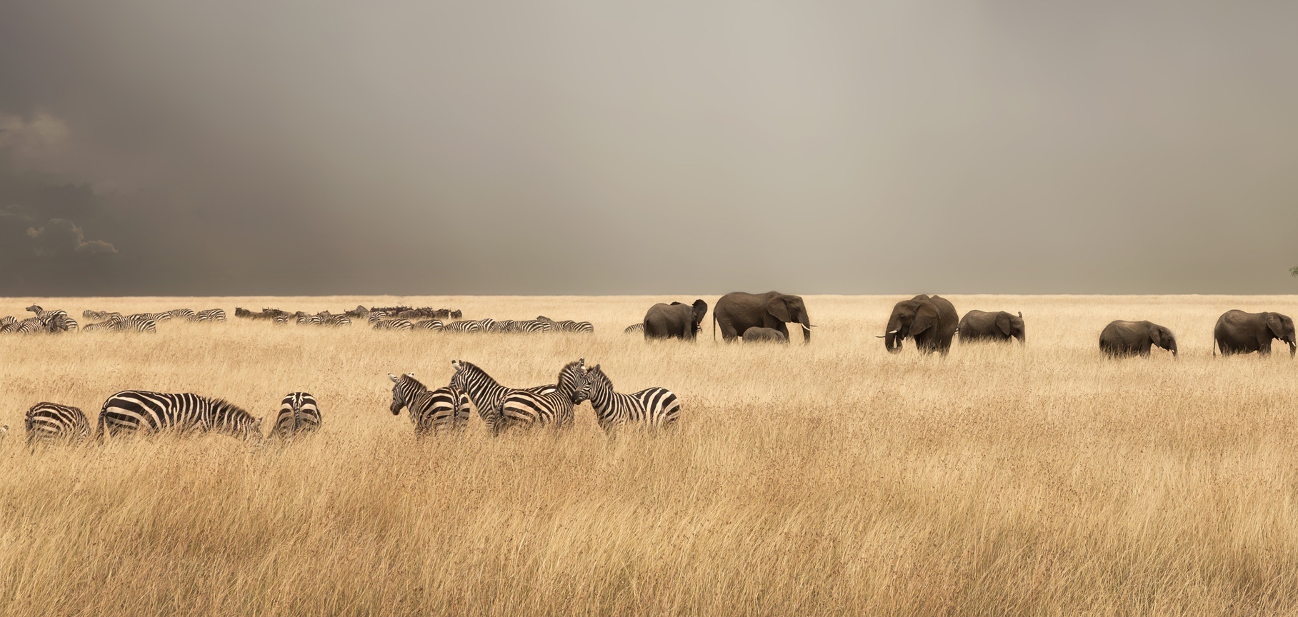 Applying an Investor Lens to Biodiversity Measurement: Design Principles for Framework Developers