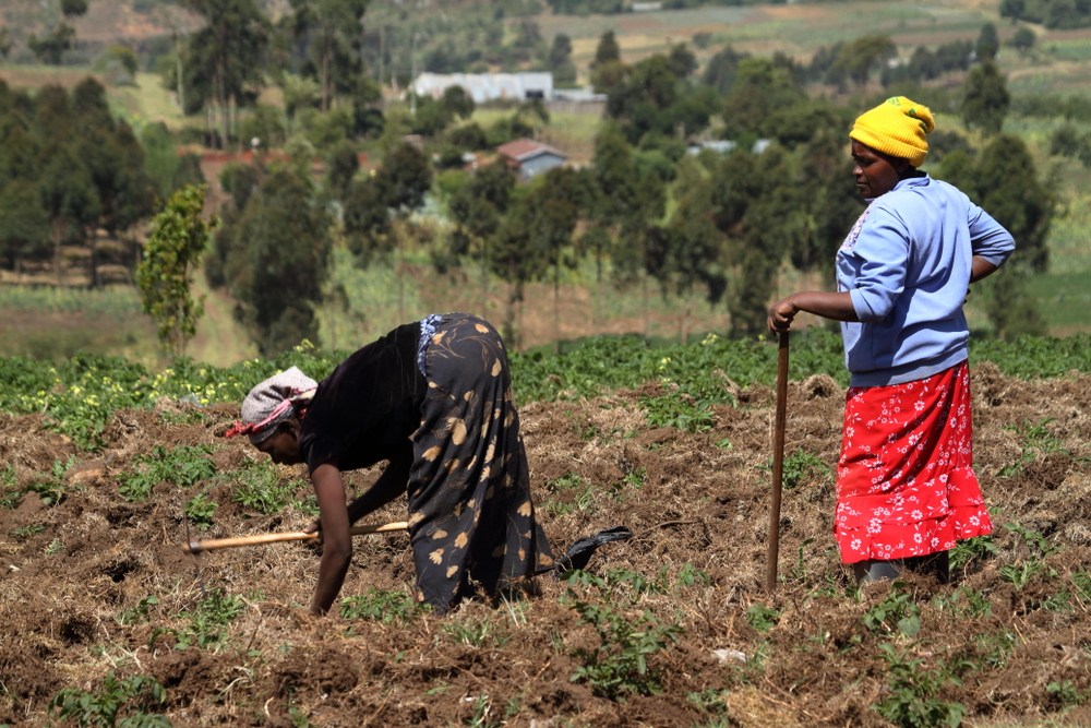 Resilient Rural Women: Applying Personas and Insights for Climate-Smart Innovation